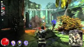 Weird Glitch :: Nosgoth ::