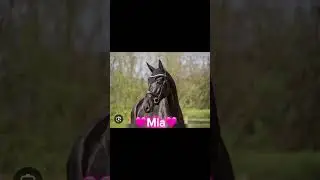 ❤️🫶🩷 #edit #animals #equestrian #horselover #pferdevideo
