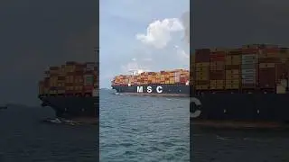MSC ship|msc mafiya|join navy|ships life|dream job|merchant navy|navy status #sea #ship