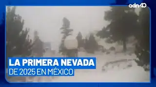 As&iacute; se vivi&oacute; la primera nevada del 2025 en M&eacute;xico, reportaron temperaturas de 0 grados
