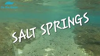 Salt Springs | Boating to Salt Springs