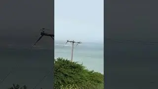 Golden Gate View