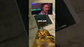 Стример вылетает *Месть в конце*😂💀