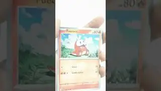 Fuecoco holo #viral #trending #pokemon #pokeverse