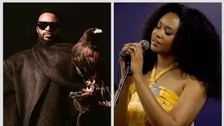 Fally Ipupa - Plus de Larmes - (Cover by NAËK)