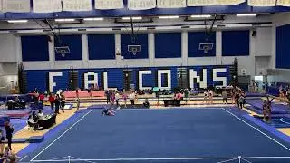 Solano gymnastics competition- Excel gold