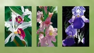 Artist Brian Davis.  Incredible Flowers in Oil