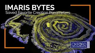 Imaris Bytes | Saved Favorite Creation Parameters
