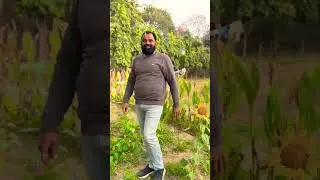 Phoolon Sa Chehra Tera HD viral trending YouTube short song
