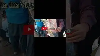 FISH MARKET KAMARI SUBA SUBA FISH LANA GAY #fishingvideo #bassijan#fish