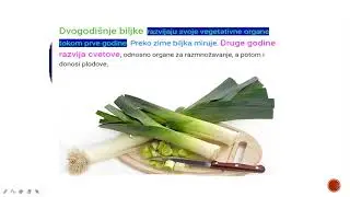 rast i razvoj