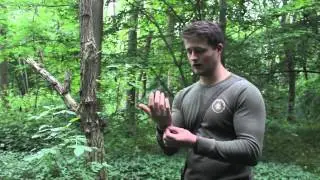 Bushcraft tips: insect repellent