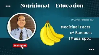 Medicinal Facts about Bananas (Musa spp.) | Naturopathic Living | Nutrition Education