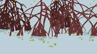 Green vs  Grey Infrastructure: Investing in a Water Secure Future