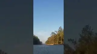 Camaro zl1 launch 🚀 #camaro #dig #launchcontrol #zl1 #zl1camaro #supercars #shorts #shortvideo