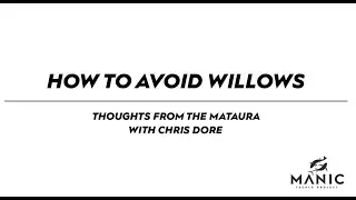 How to Avoid Willows when Fly Fishing