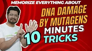 Dommages &agrave; l'ADN caus&eacute;s par des mutag&egrave;nes | Astuces sur les mutag&egrave;nes de l'ADN &agrave; retenir | Mutage...