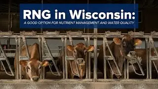 RNG in Wisconsin: A good option for nutrient management and water quality