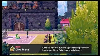 Pok&eacute;mon Escudo | Cinta Fuerte | Ciudad Artejo