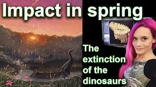 The Mesozoic ended in Boreal Spring - Explained