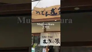 Cold Udon Noodles in Nara, Japan! Super refreshing, delicious, and chewy at Mugu-No-Kura Udon