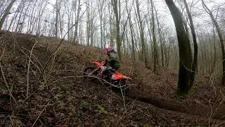 koziary