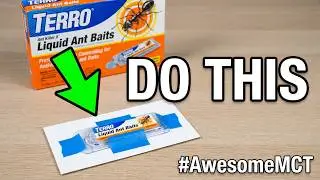 🐜🐜  Setting up Terro Liquid Ant Bait Traps and look at Package Ants baits 🐜