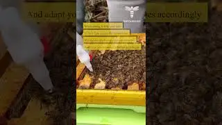 When aiming to help your bees in their fight against the Varroa mites you should take biology into..
