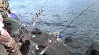 Bank Station - Bank Fishing Rod Holder - Sand Spike - Surf Spike