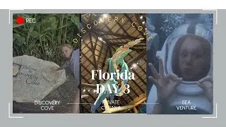 Florida Day 3 Discovery Cove I Private Cabana | Sea Venture