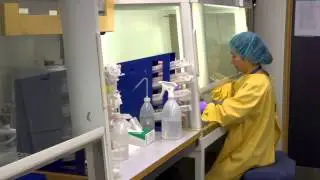 StemTherapy Human Pluripotent Stem Cell Core