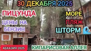 Абхазия Пицунда, кипарисовая аллея, шторм, цены на бензин 30 декабря 2025. 