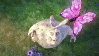 Motion vector visualization