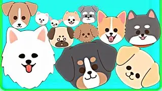 DOGs MERGE 3D - ASMR Gameplay (Doggie Evolution, Level Up Jelly Balls 2048)