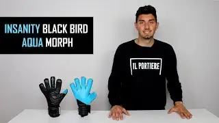 Insanity Black Bird Aqua Morph