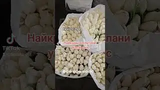⓿❾❸.❷❽❼.❷❽❷❽