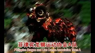 Philippine Dragon and Lion Dance Association Team A &mdash; 菲律宾龙狮运动协会A队 🇵🇭
