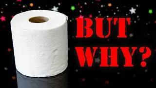 Why Is Toilet Paper?