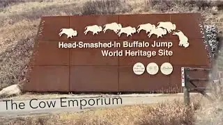 Head-Smashed-In Buffalo Jump. A UNESCO World Heritage Site near us.
