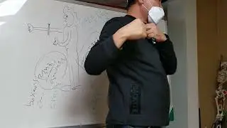 [마요 테라피 40강] 전거근 1 - 복서 근육 / [myo therapy 40]  serratus anterior m. 1 -  boxer's muscles