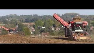 2 x Dewulf Kwatro/Fendt 942 Design Line/Dezeure Verte/Arrachage Pdt Saison 2022 [Mydibel/Transmyl]🥔🍟