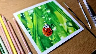 Drawing LadyBug + Morning Dew | Pyro Art