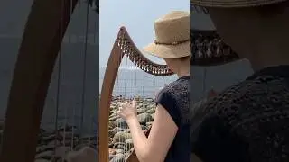 Ocean Stones #harp