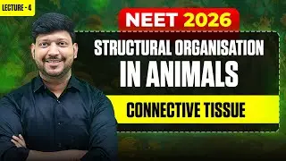 LEC-04 CONNECTIVE TISSUE | Structural Organization In Animals by #mittalsir  #neet2025 #feelncert