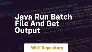 java run batch file and get output