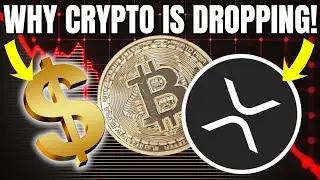 Узнайте, почему рынок криптовалют ПАДАЕТ! Срочные новости криптовалют!