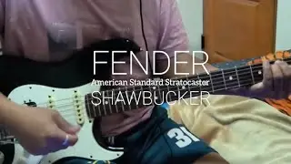 Fender American Standard Stratocaster | Shawbucker | Guitar Demo