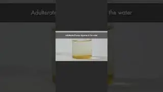 IS YOUR HONEY ADULTERATED? #foodsafety #adulteration #fnh01#shorts #honey #foodscience