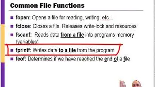 Writing to a Text File in C