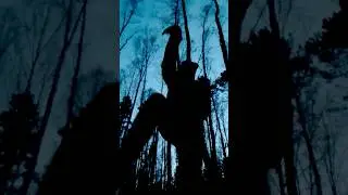 MY ENERGY DANCE #dance #energydance #energypractice